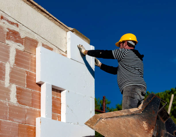 Best Insulation Maintenance and Repair in Monticello, IL