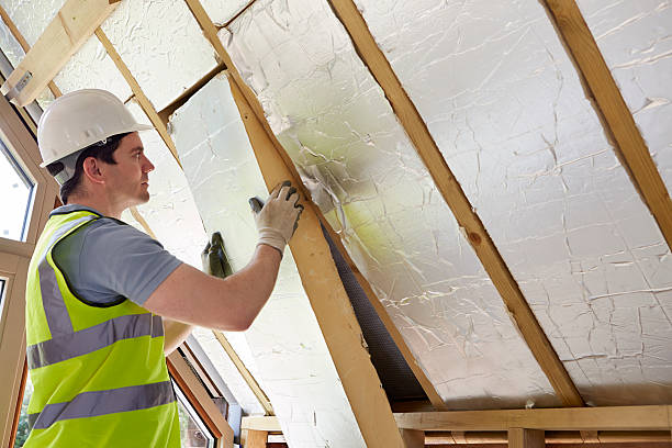 Best Cellulose Insulation in Monticello, IL
